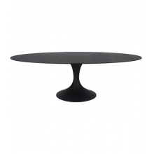 Table CALISE