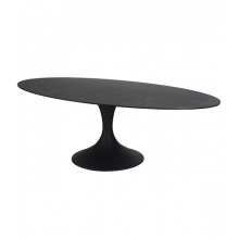 Table CALISE